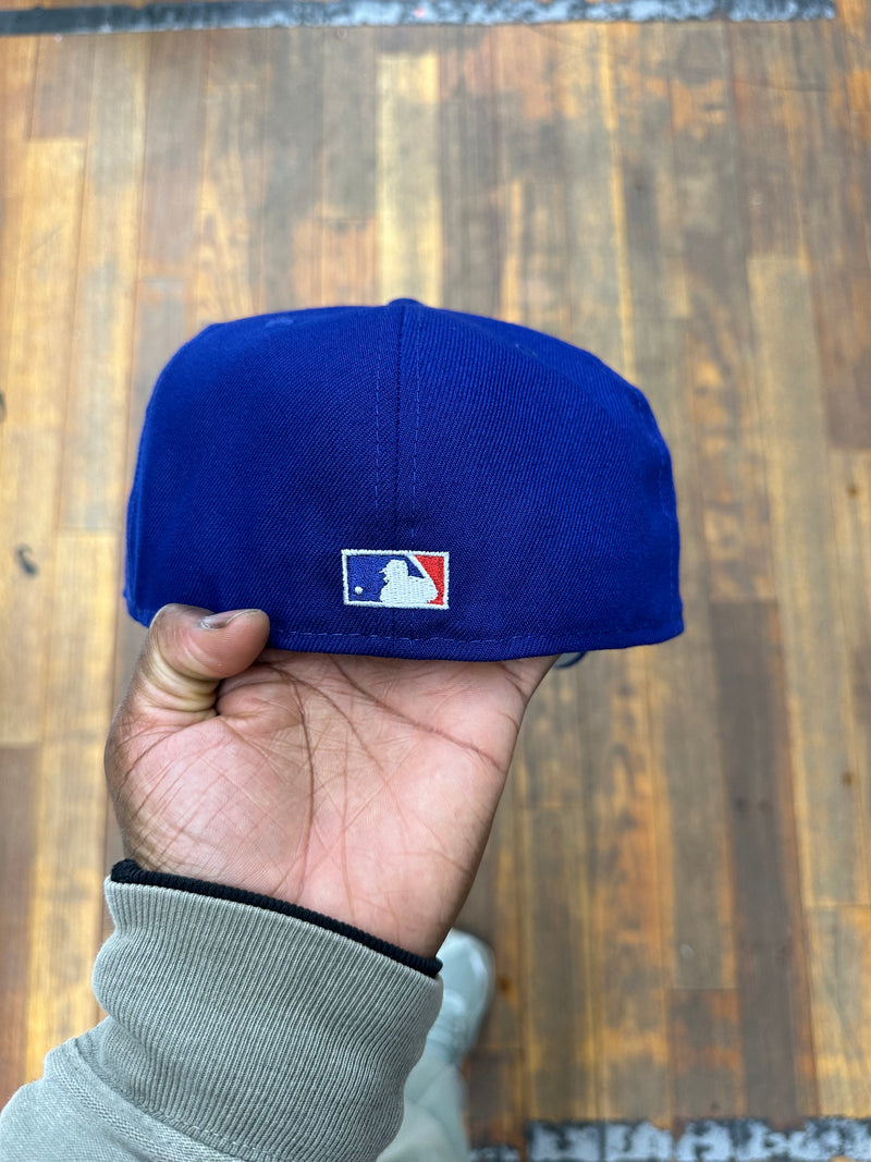 Brooklyn Dodgers Royal Ebbets Field