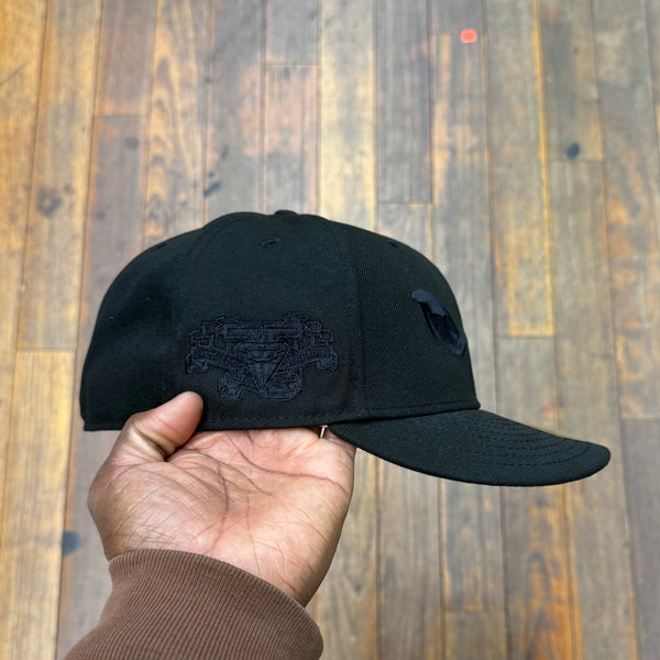 Lake Elsinore Storm Black on Black