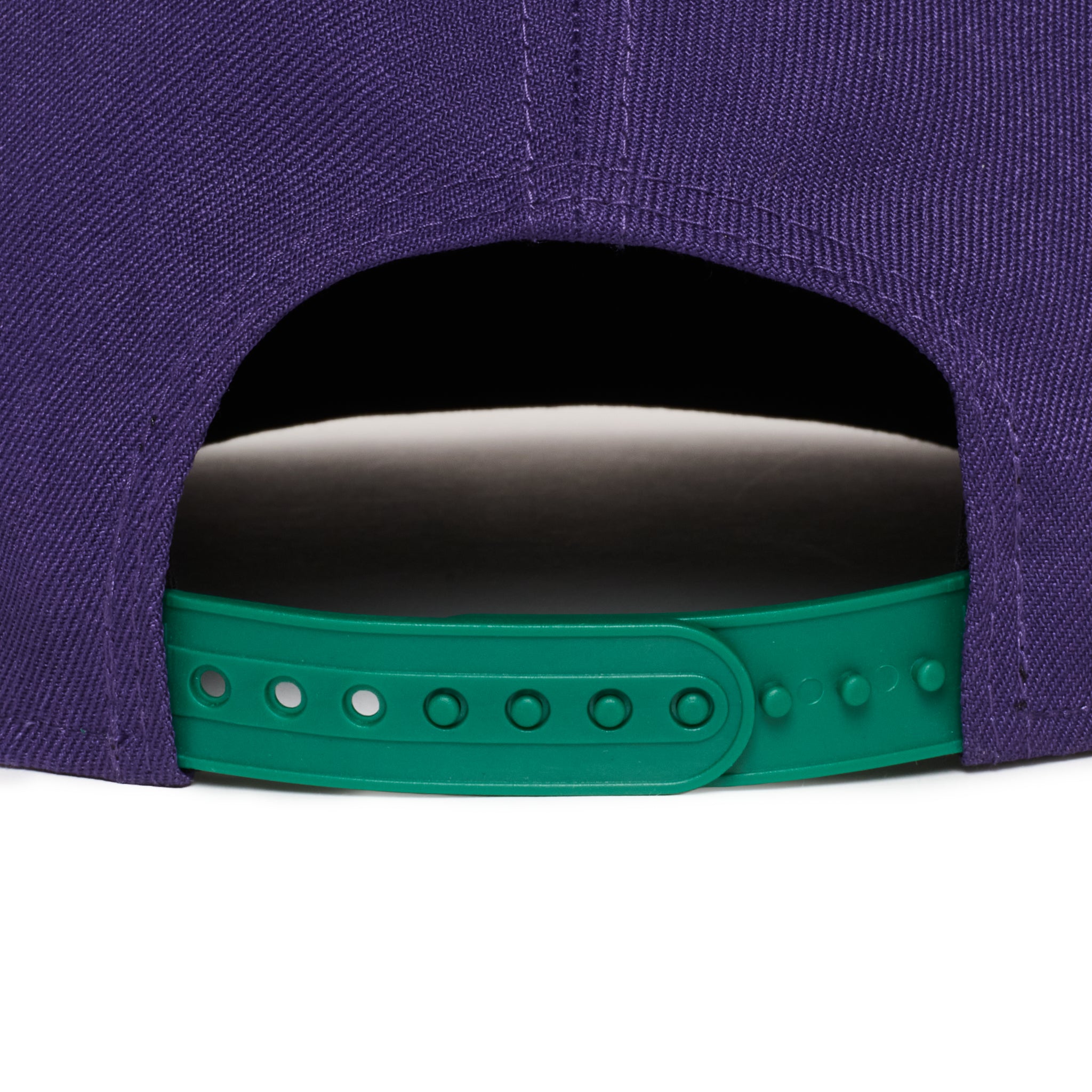 Anaheim Ducks Green And Purple 950 AFrame Snap Back
