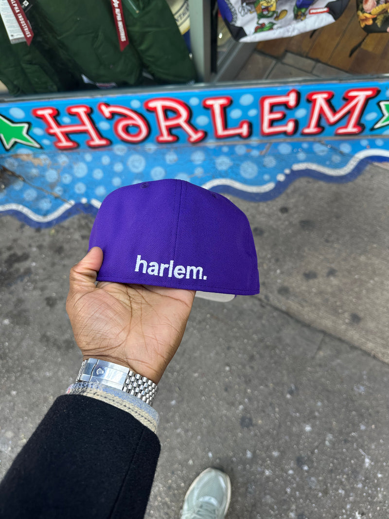 Harlem Purple Green Outline 5950 Fitted