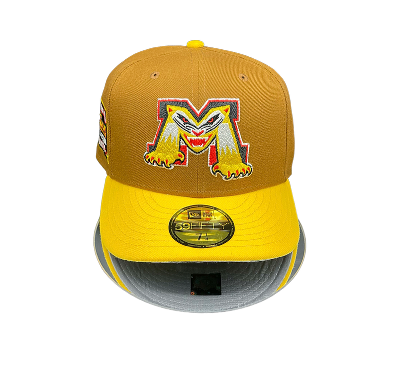 Michigan Battle Cats Brown and AGold Yellow