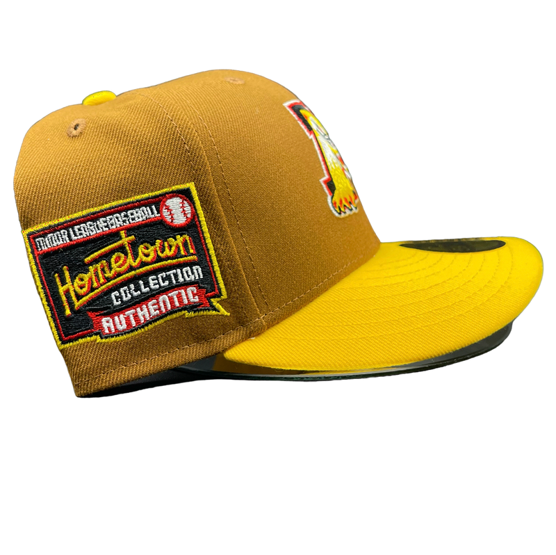 Michigan Battle Cats Brown and AGold Yellow