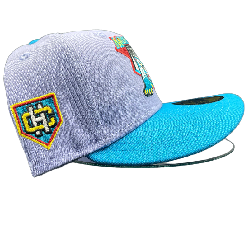 MICH. BATTLE CATS LAVENDER + TEAL