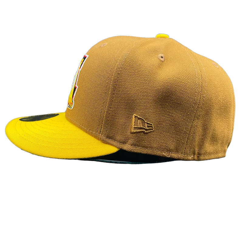 Michigan Battle Cats Brown and AGold Yellow